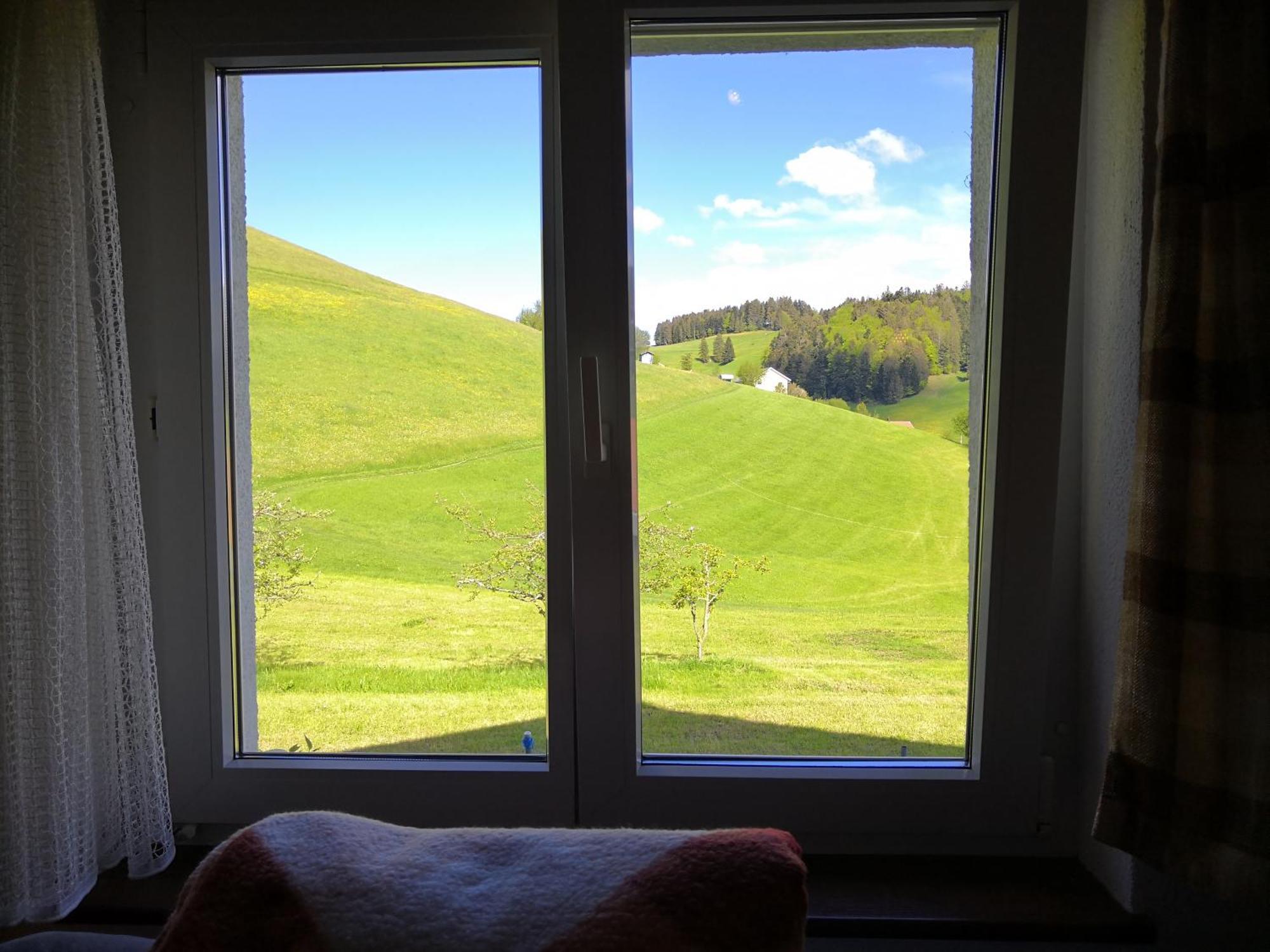 Apartment Am Birkenweg Walde ภายนอก รูปภาพ
